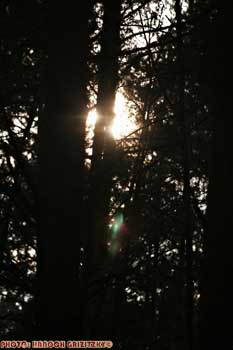 IMG_ (10315)